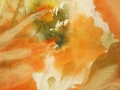 Abstract orange-2