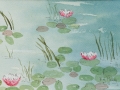 Waterlilly 2