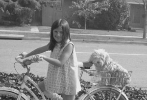 Lolly&Daisy:bike