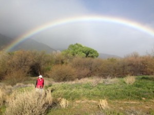 double rainbow copy