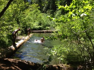 swimming in forest pool