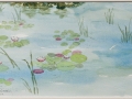 Waterlilly 1