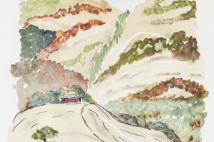 hills-from-casa-lobo